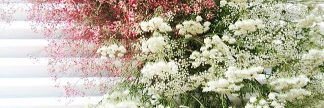 helin__mutlu's profile banner image