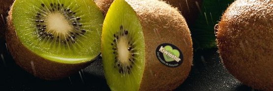kiwiastur's profile banner image