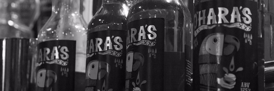 OHarasParrot's profile banner image