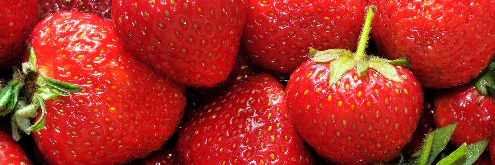 Fruit’s Archives banner