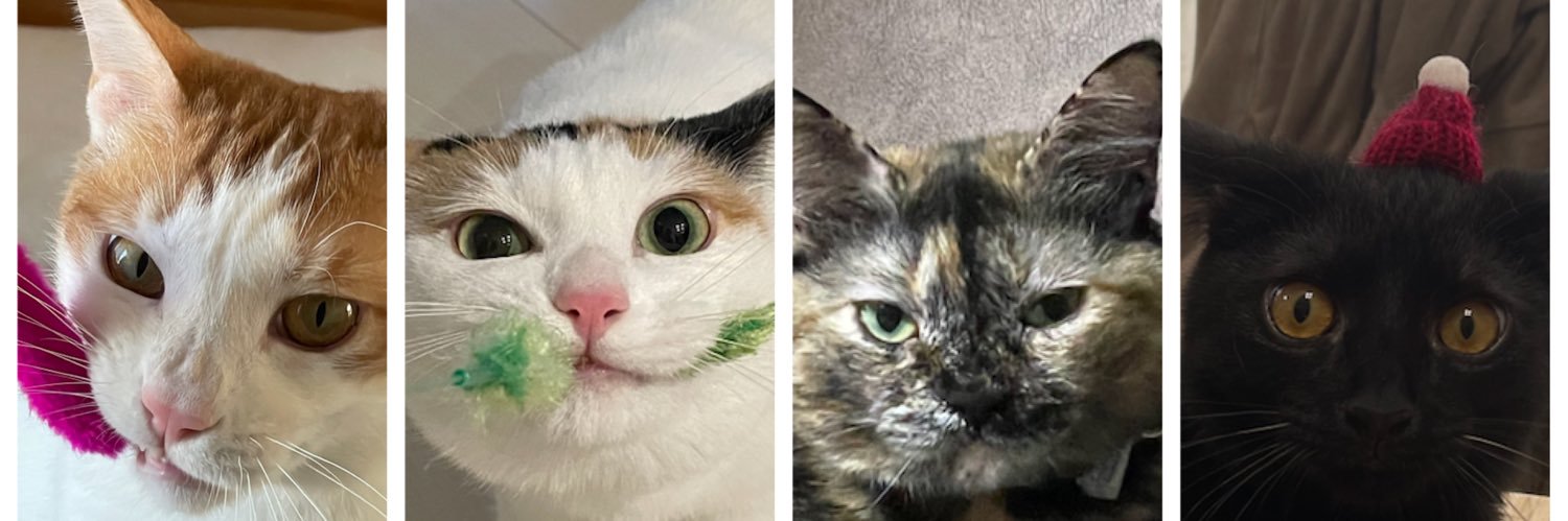 鯖の味噌煮。 banner