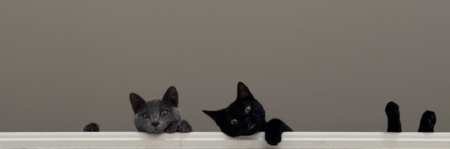 wonquansoup14's profile banner image