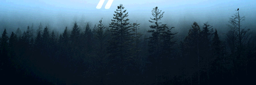 Windsfaith's profile banner image