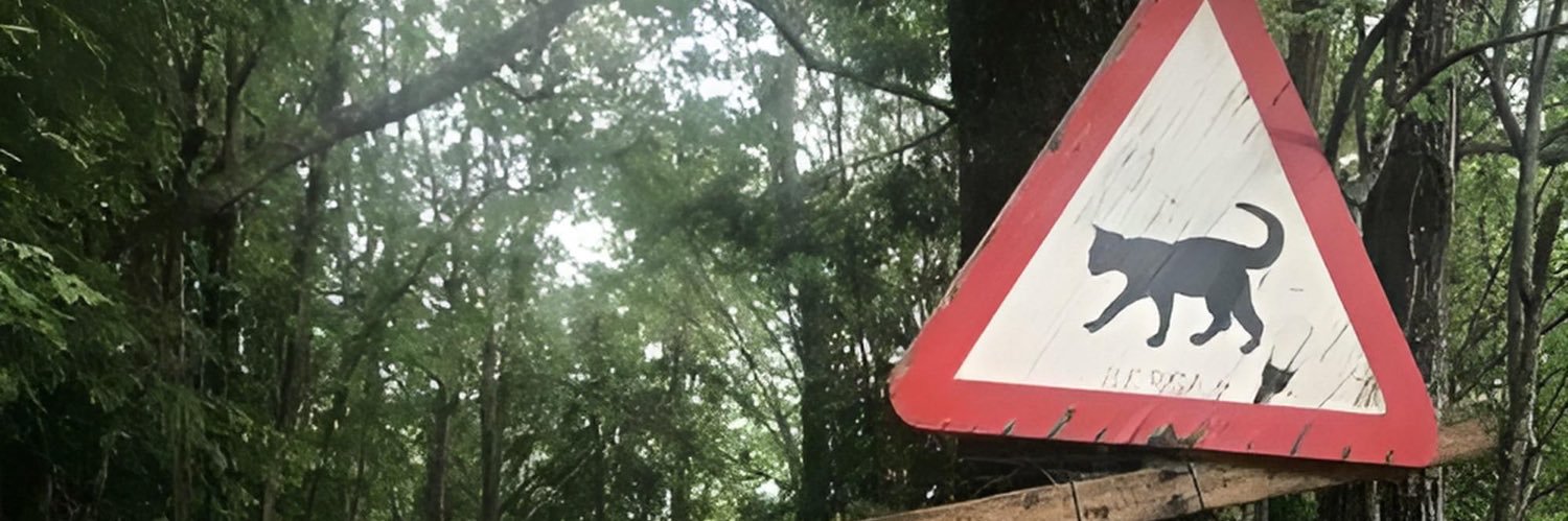 𝑑𝑟𝑒𝑎𝑚𓇢𓆸 banner