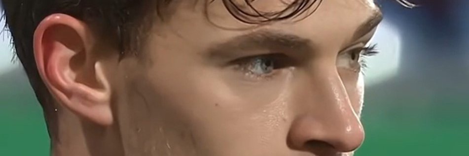 BrownFatCat's profile banner image