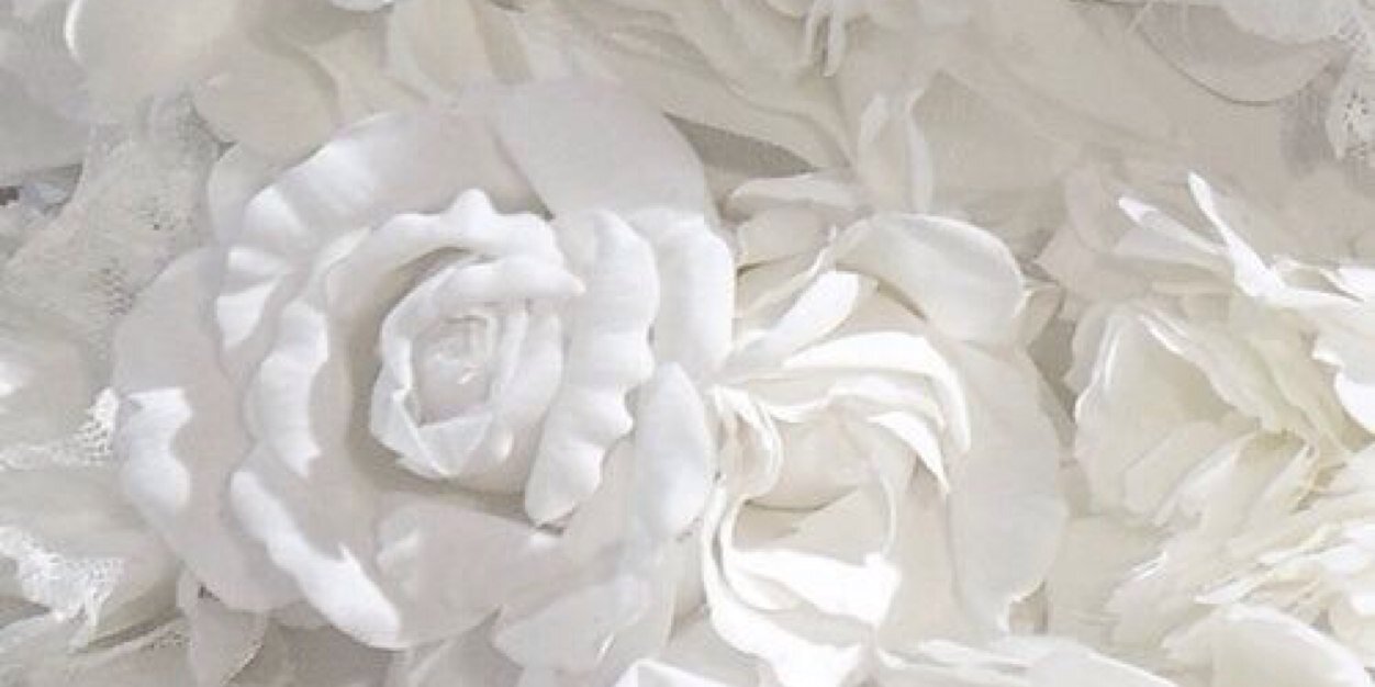 vionnatania's profile banner image