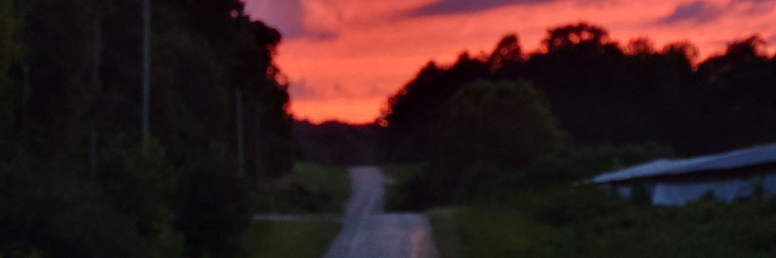 jamietuckergurl's profile banner image
