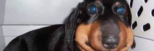 cruz_longares's profile banner image