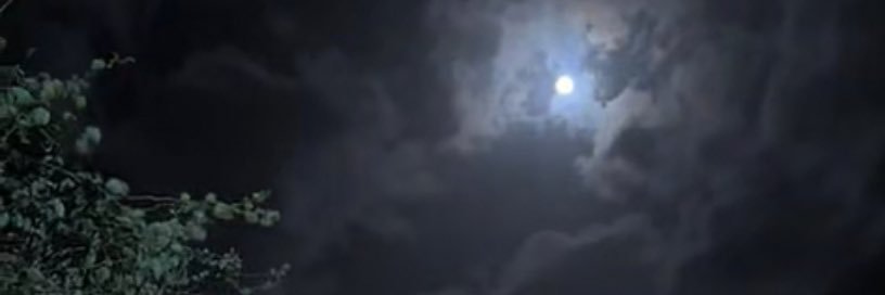 bint_zhran1's profile banner image