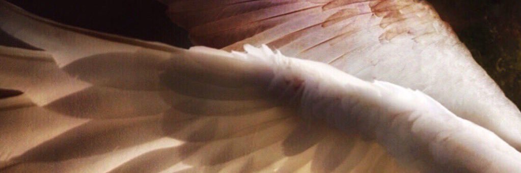 Victoria (Ghost in the Shell) banner