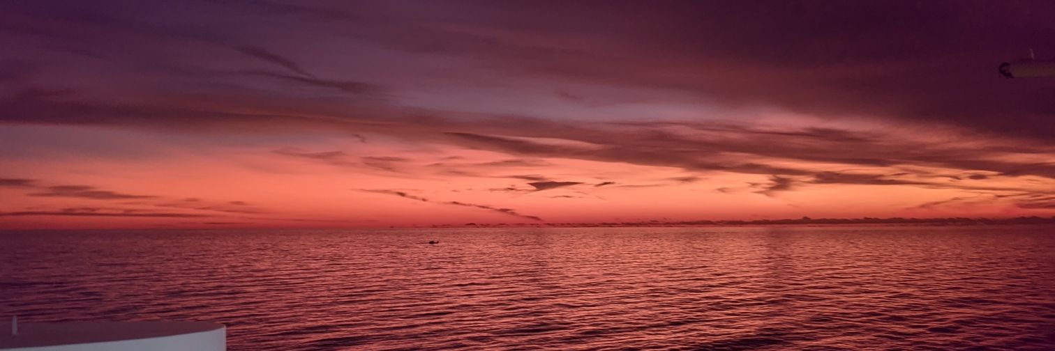 MdAimann's profile banner image
