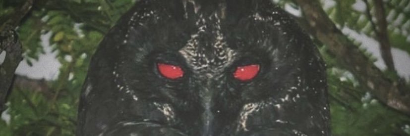Johann_wright11's profile banner image