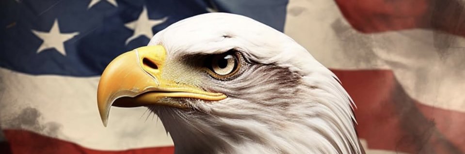 msZree's profile banner image