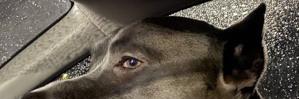 bigjohnstone1 Profile Banner