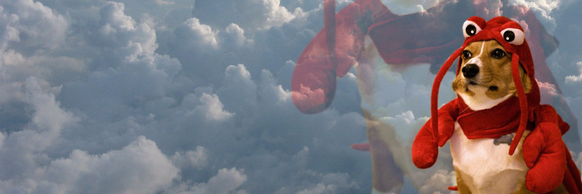 MateusManica's profile banner image