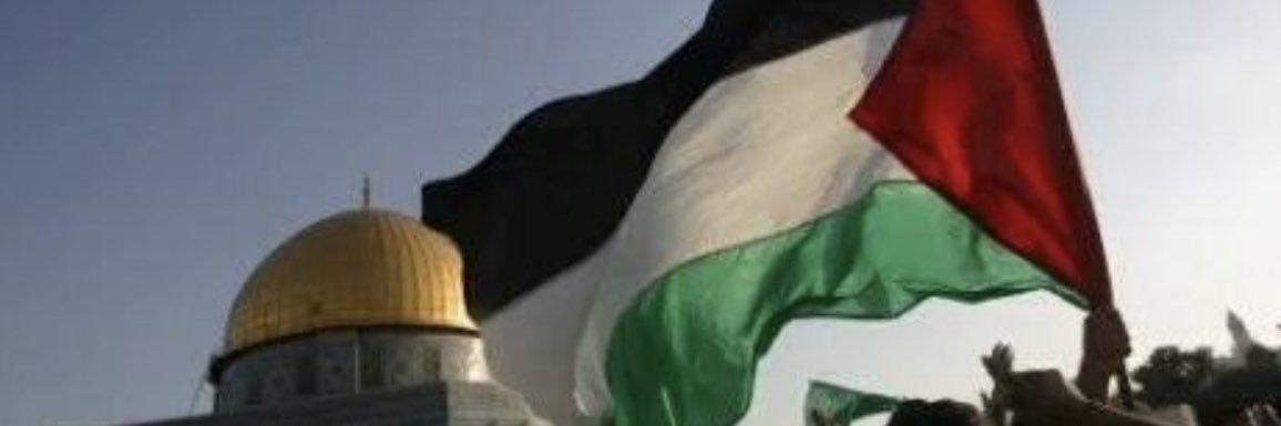 ManarEldardiry's profile banner image