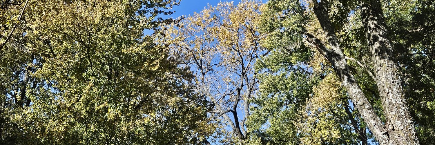 Forrest Inness banner