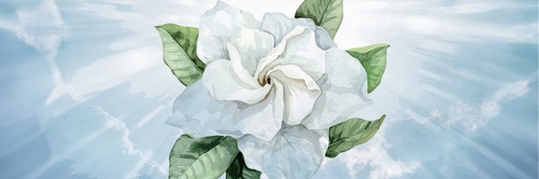 PD_Japan Profile Banner
