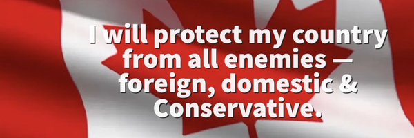 ggrmcd Profile Banner