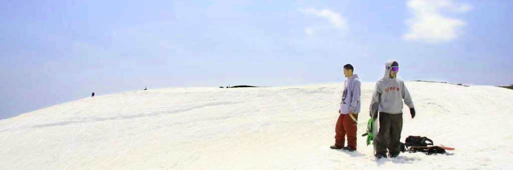 nintoq's profile banner image