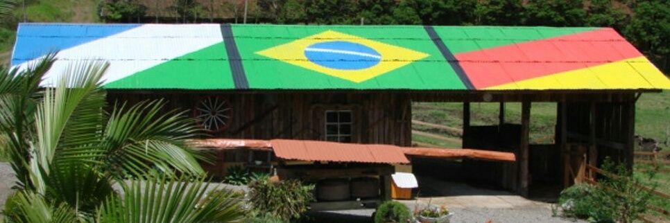 Mario Andrade🇧🇷🇩🇪🔭🐦🌪❄ banner