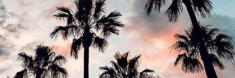 romapilotti's profile banner image