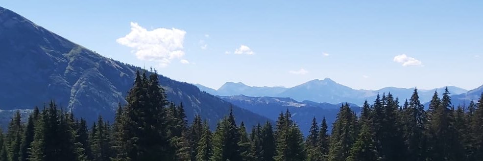 Marie-Laure Joblon banner