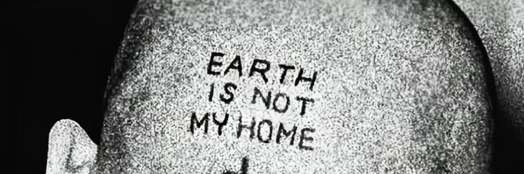 BODMĄ 💛 🦍 banner