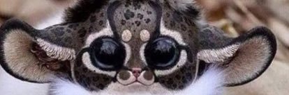 Pacoo1987's profile banner image