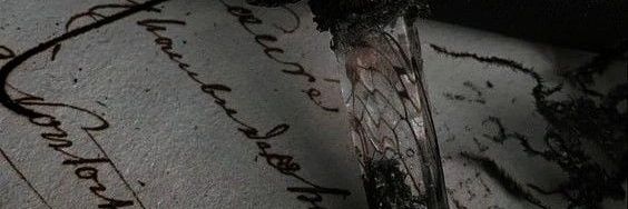 VMalgrave's profile banner image