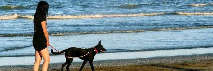 parebalos's profile banner image