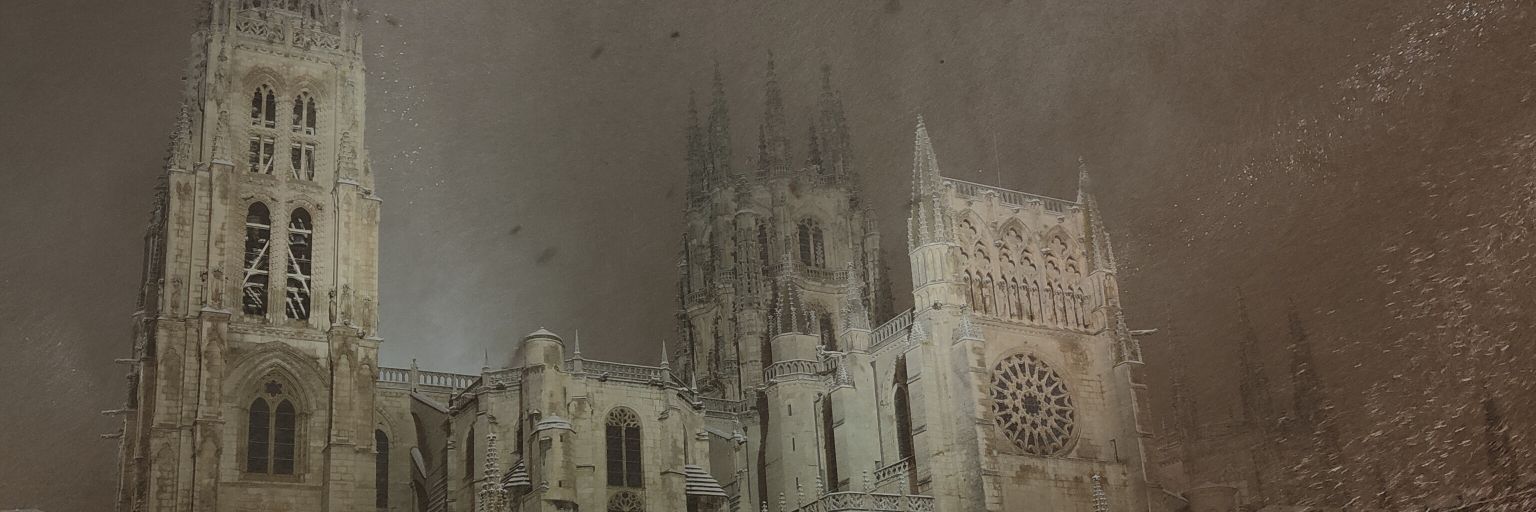 palasnikovvv's profile banner image