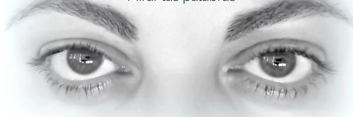 andreamajul's profile banner image