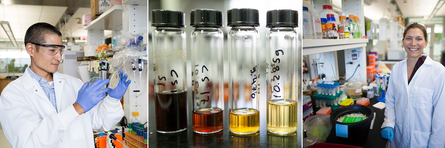 Great Lakes Bioenergy Research Center (GLBRC) banner