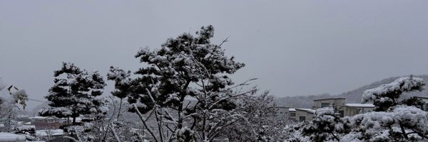 369twt Profile Banner