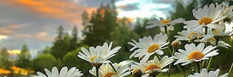 alkasimn's profile banner image