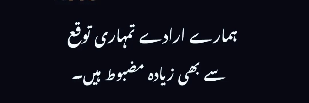 Anees banner