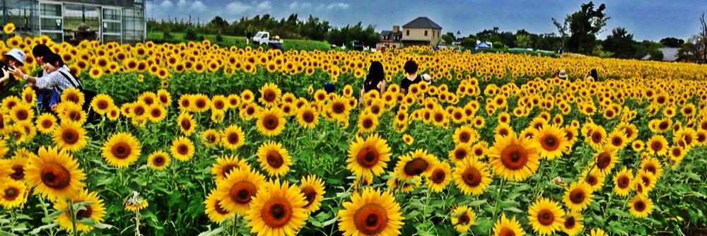 ym__826's profile banner image