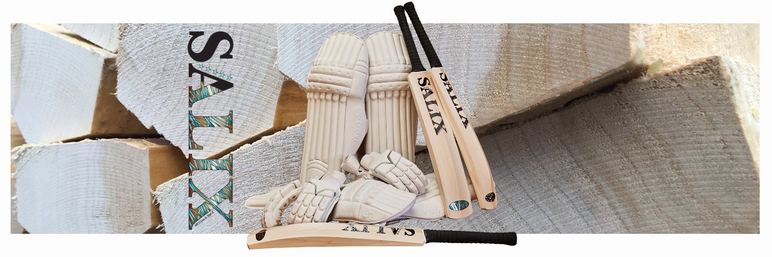Salix Cricket Bats banner