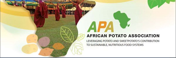 African Potato Association Profile Banner