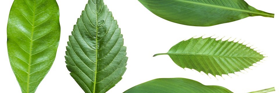 Arthit_golfmhee's profile banner image