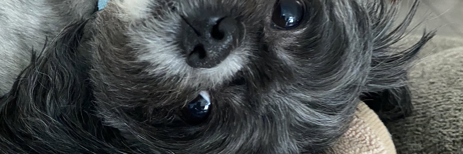 roxy banner