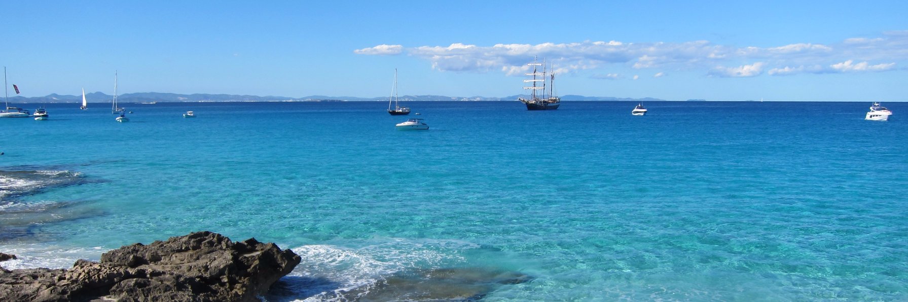 Bryce Stewart banner