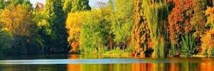 Doan thi kieu trang (🌸, 🌿) banner