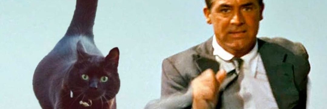 Sara Mansouri 😹 banner