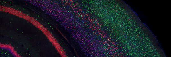 TheFrancoLab Profile Banner
