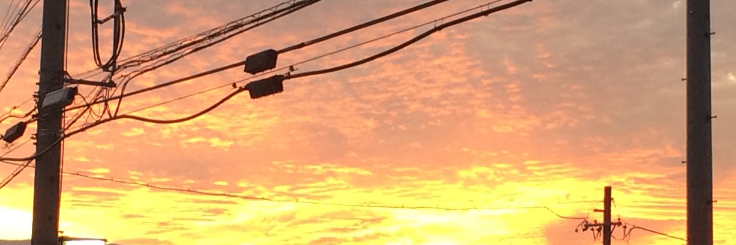 k39494499's profile banner image