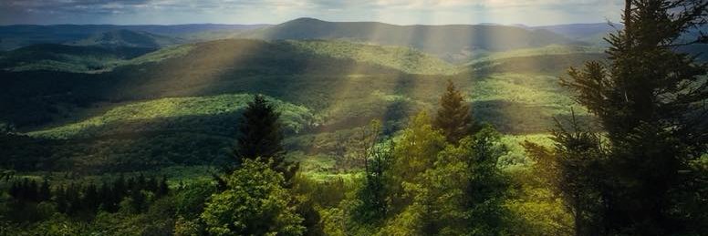 Amanda M. Stevens banner