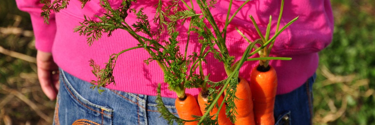 Social Farms & Gardens Scotland banner