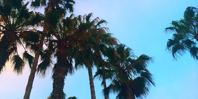 marenthee_x's profile banner image